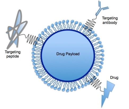 Solid Lipid Nanoparticle image